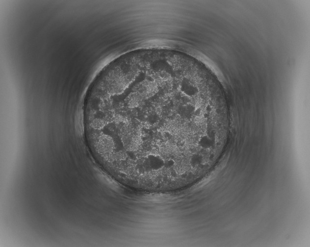 X0000110871075200907091356