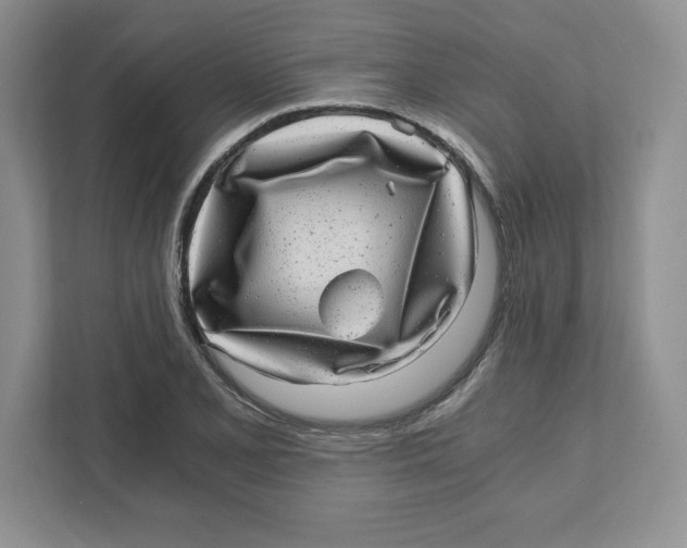 X0000110871077200907091356