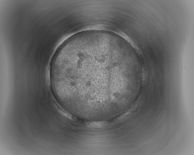 X0000110871078200907091356