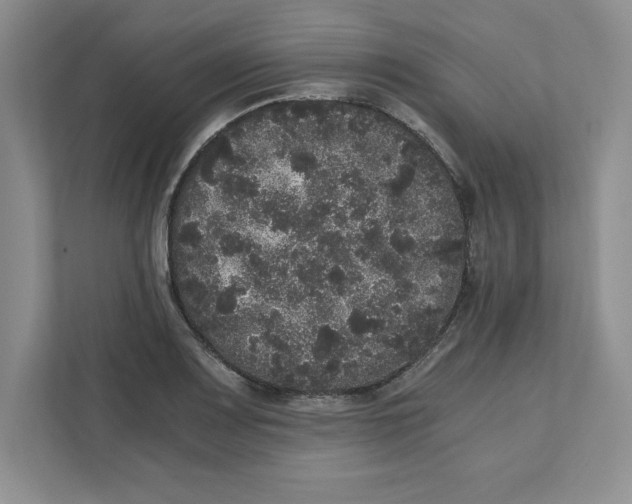 X0000110871083200907091356