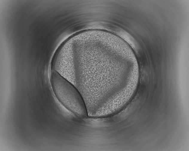 X0000110871084200907091356