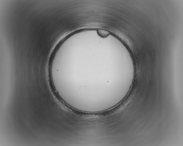 X0000110871085200907091356