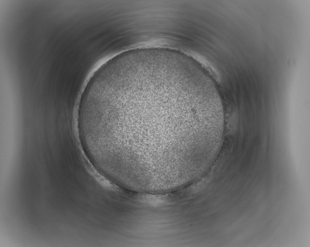 X0000110871086200907091356