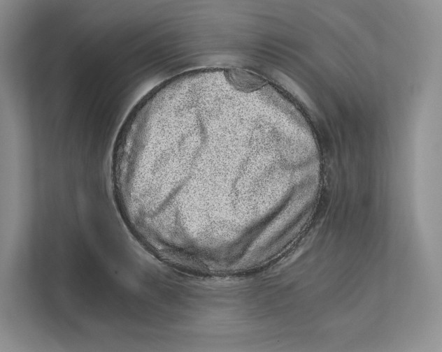 X0000110871087200907091356