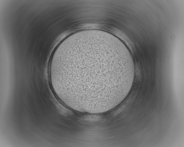 X0000110871090200907091356