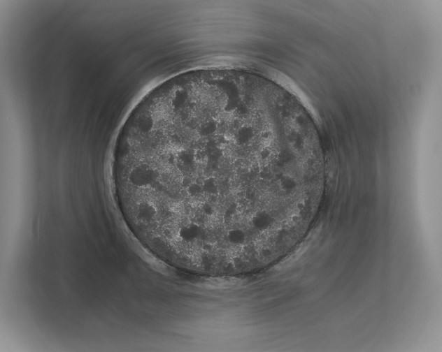 X0000110871091200907091356