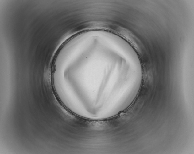 X0000110871092200907091355