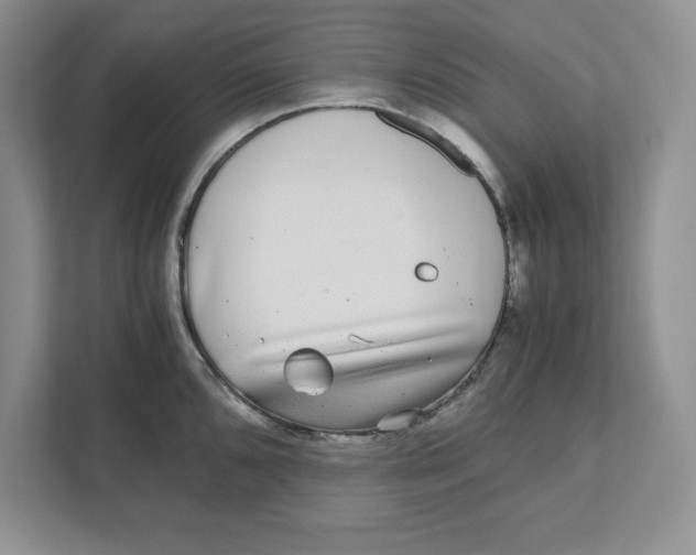 X0000110871096200907091355