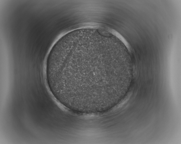 X0000110871099200907091355