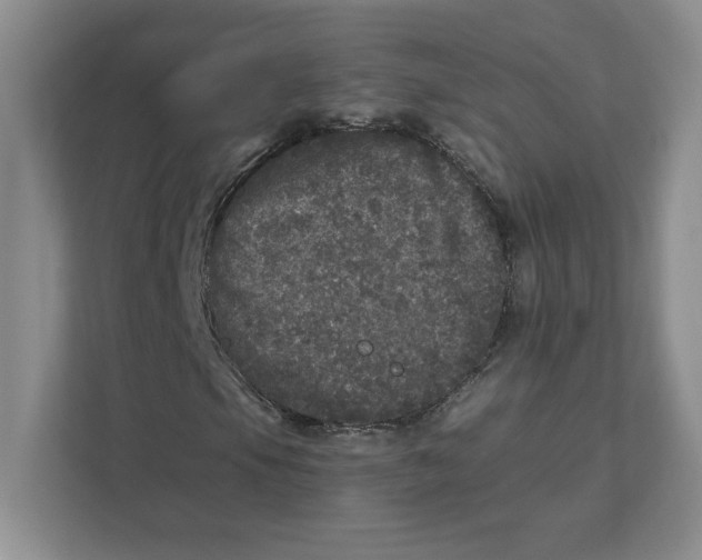 X0000110871105200907091355