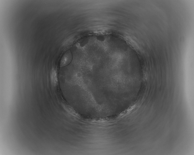 X0000110871106200907091355