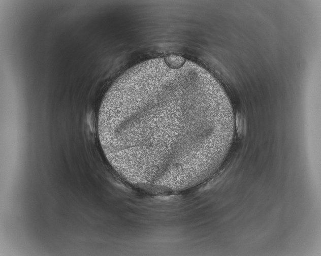 X0000110871107200907091355