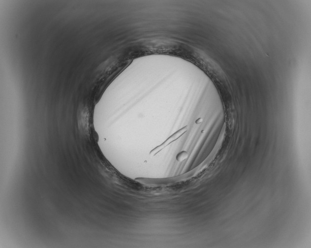 X0000110871108200907091355