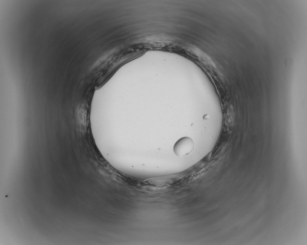 X0000110871110200907091355