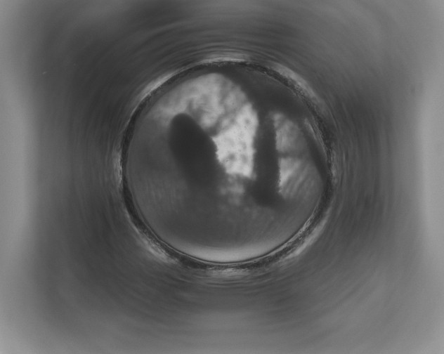 X0000110871113200907091355