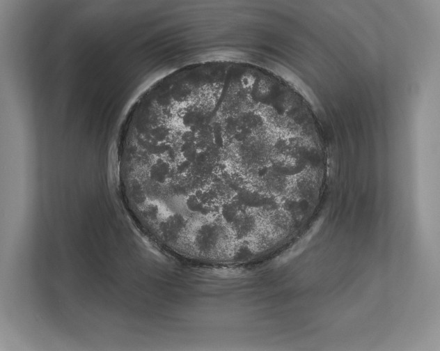 X0000110871117200907091355