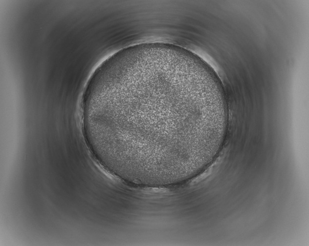 X0000110871119200907091355