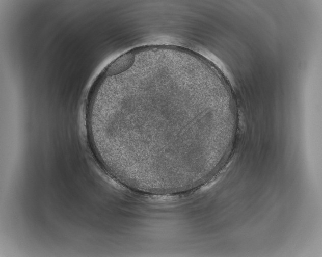 X0000110871120200907091355