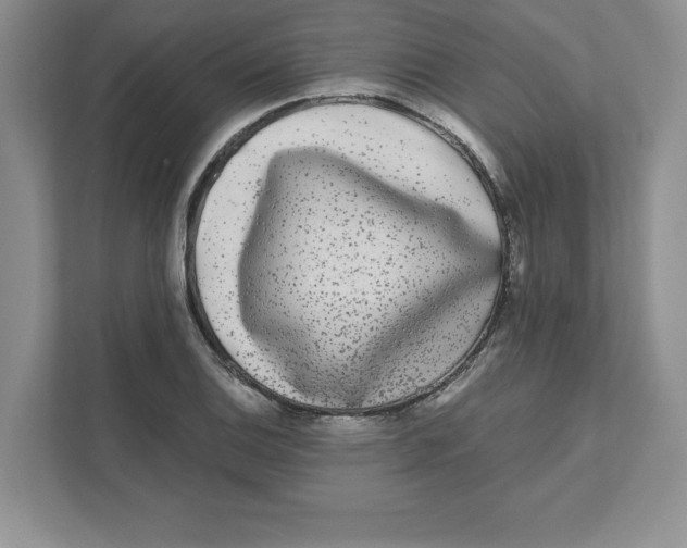 X0000110871124200907091355