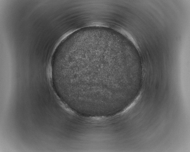 X0000110871125200907091355