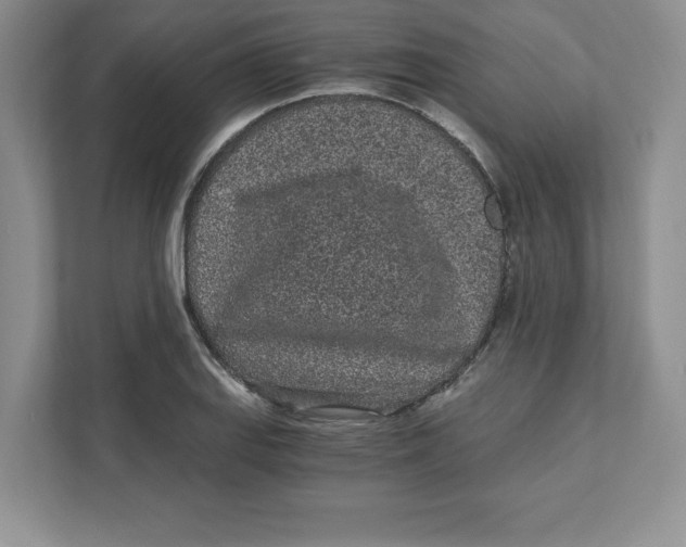 X0000110871127200907091355