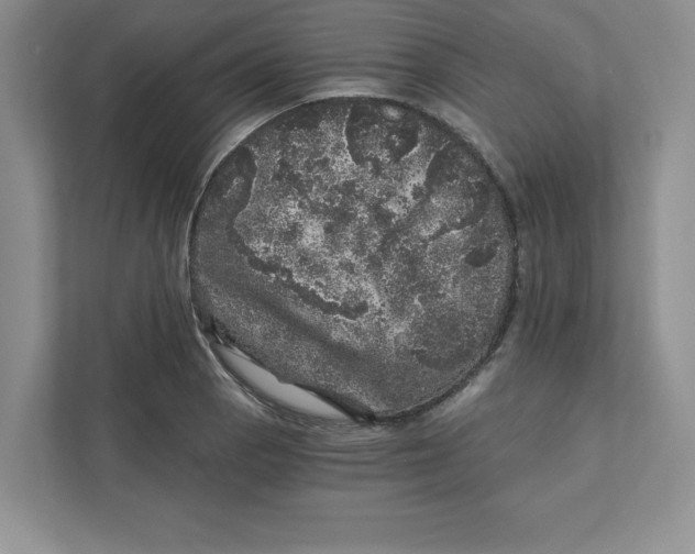 X0000110871129200907091355