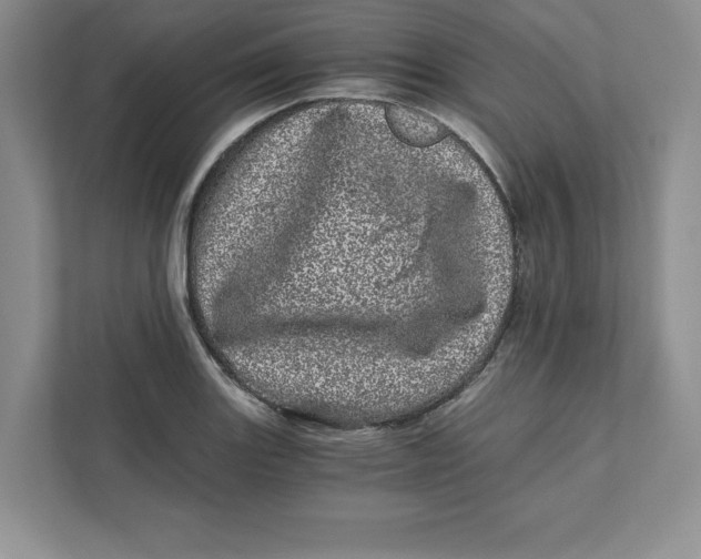 X0000110871131200907091355