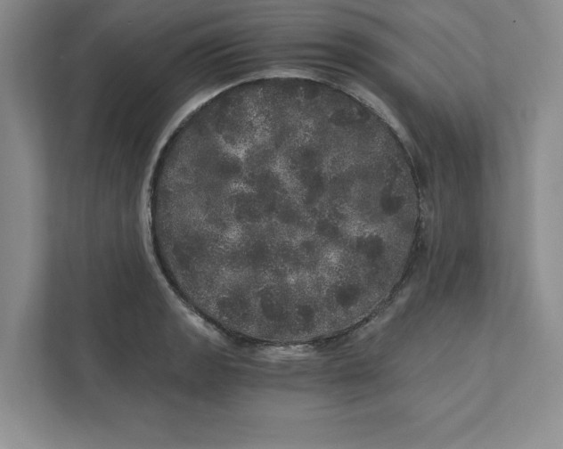 X0000110871133200907091355