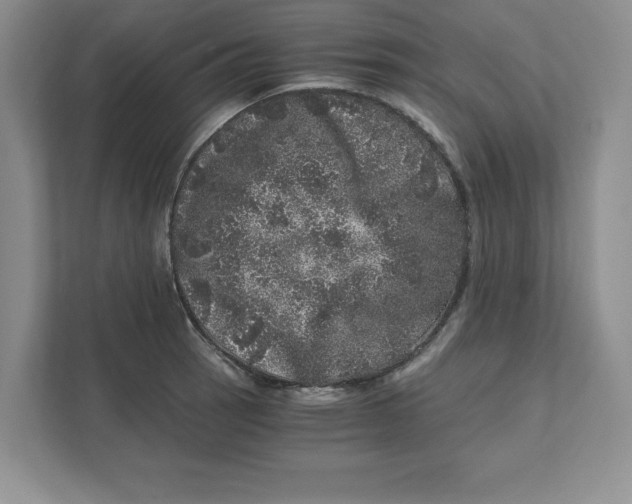 X0000110871137200907091355