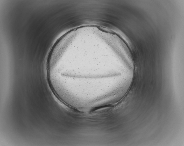 X0000110871143200907091355