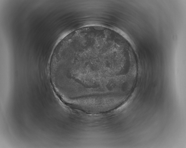 X0000110871145200907091355