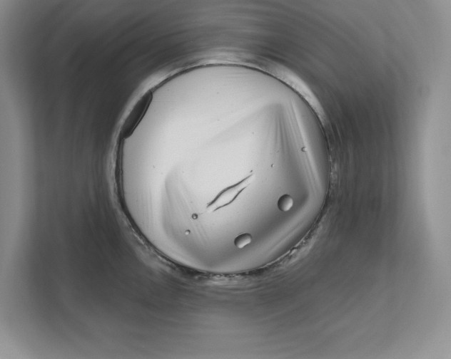 X0000110871146200907091355