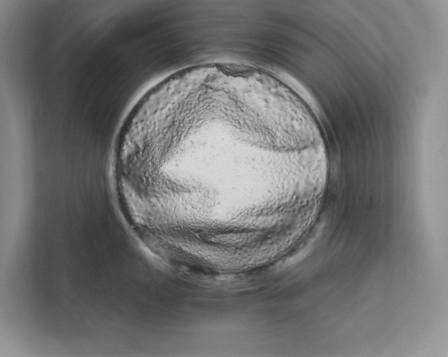 X0000110871149200907091355