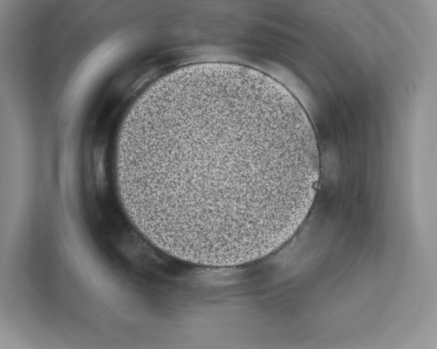 X0000110871150200907091355