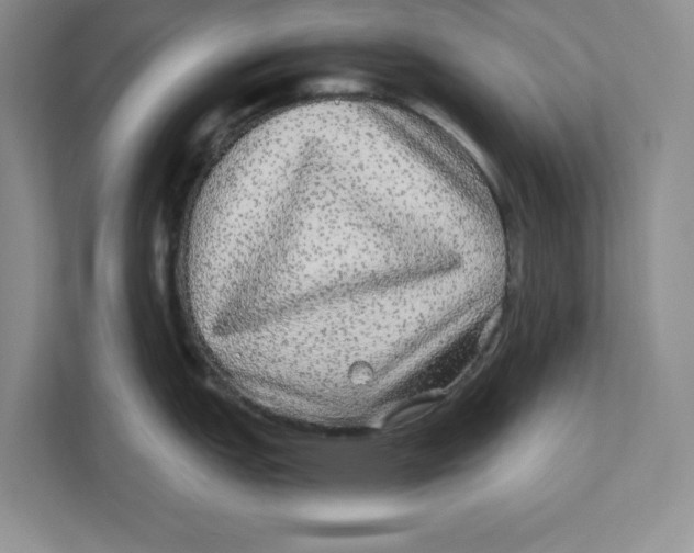 X0000110871151200907091355