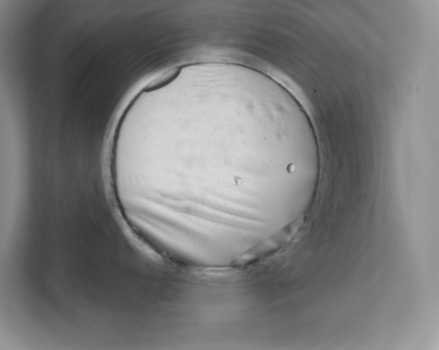 X0000110871152200907091355