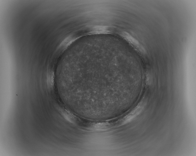 X0000110871161200907091355