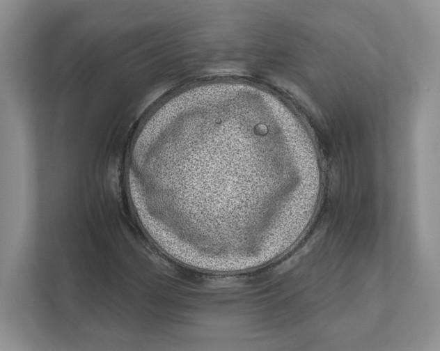 X0000110871162200907091355