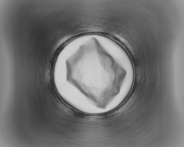 X0000110871163200907091355