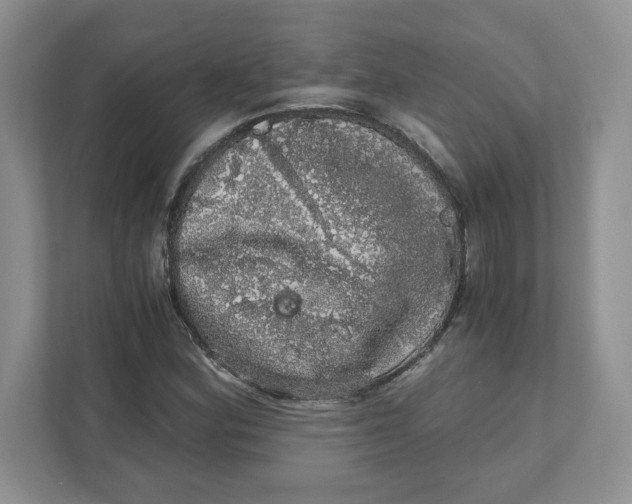 X0000110871164200907091355