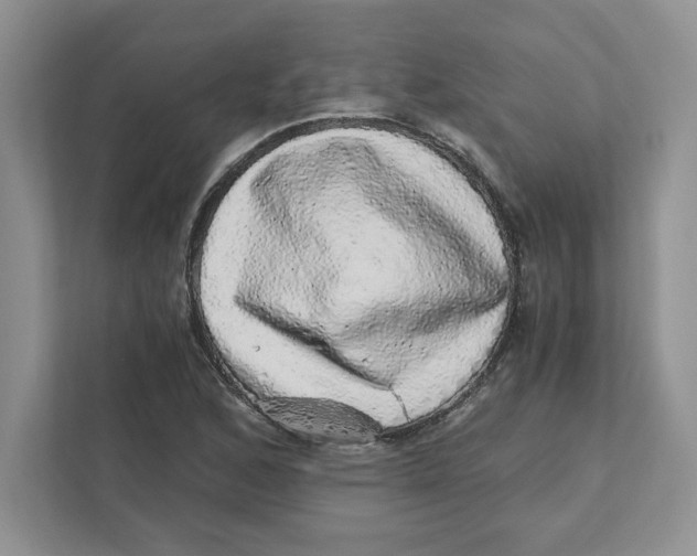 X0000110871168200907091355