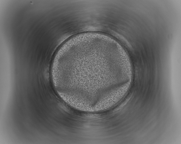 X0000110871170200907091354