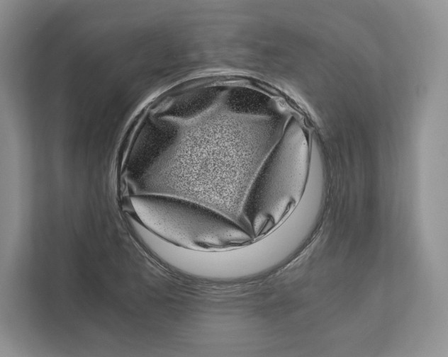 X0000110871173200907091354