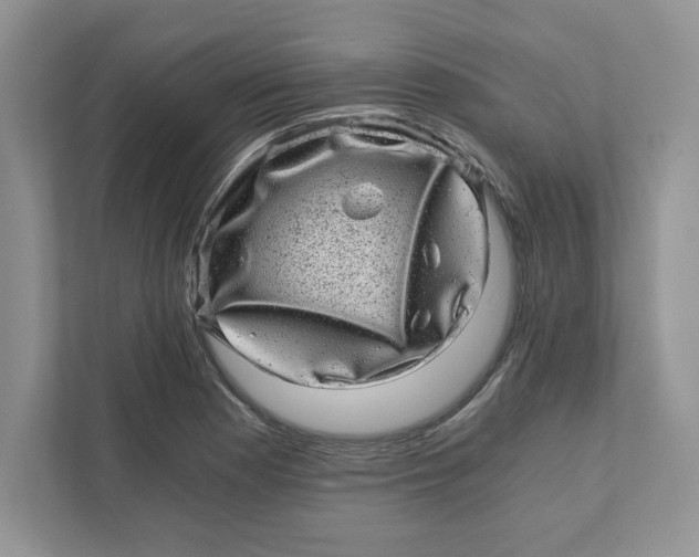 X0000110871177200907091354