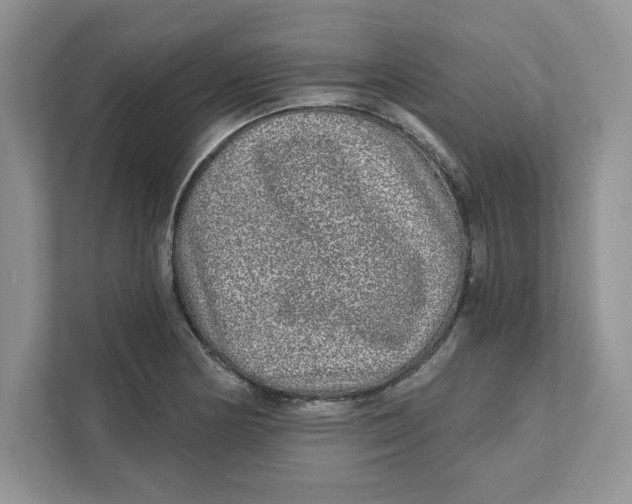 X0000110871178200907091354