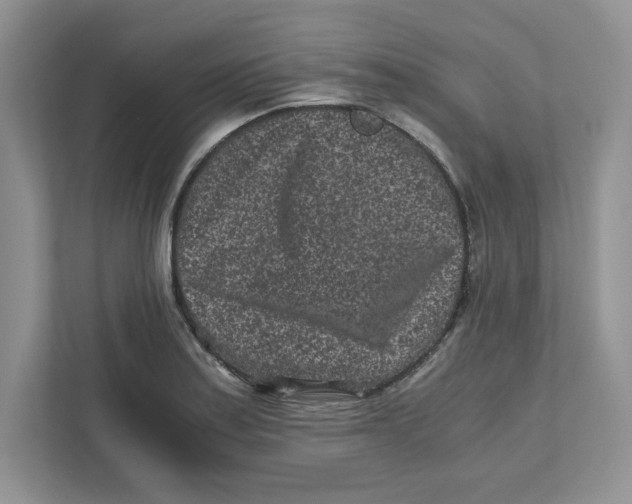 X0000110871179200907091354