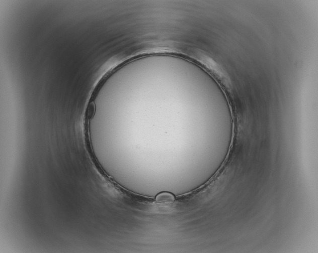 X0000110871181200907091354