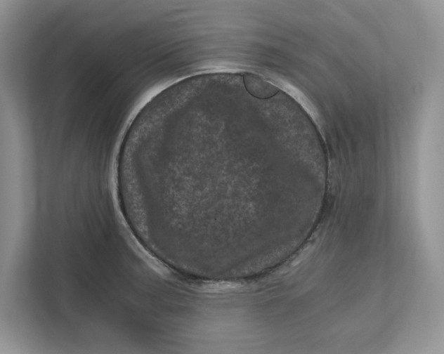 X0000110871187200907091354