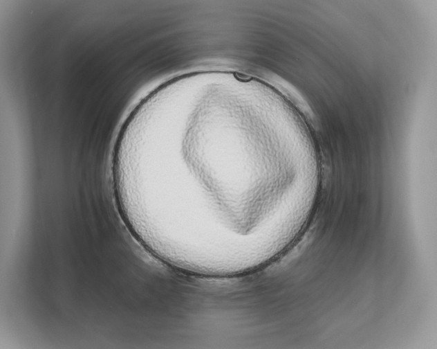 X0000110871192200907091354