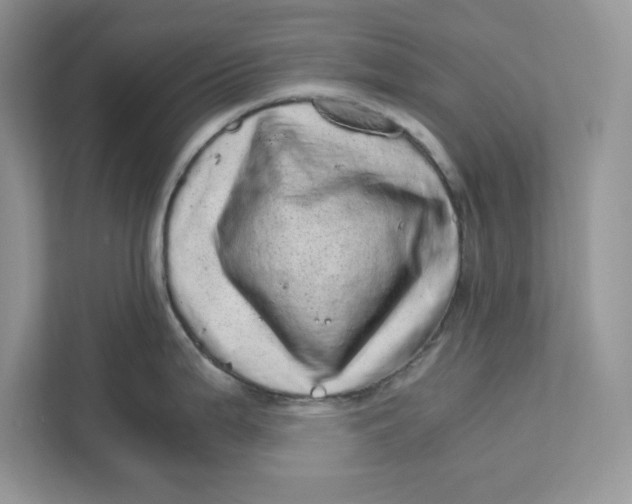 X0000110871199200907091354